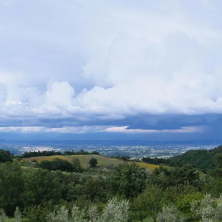 Casa vacanze Casa Il Gelso Dei Poggi Rivalto